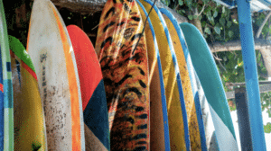 protecting your surfboard