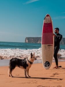 The World of Dog Surfing